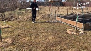 Чем опрыскивать сад весной. Спасаем сад от болезней и вредителей