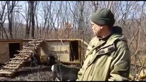 Тимур и Амур 12 сентября  2016 года