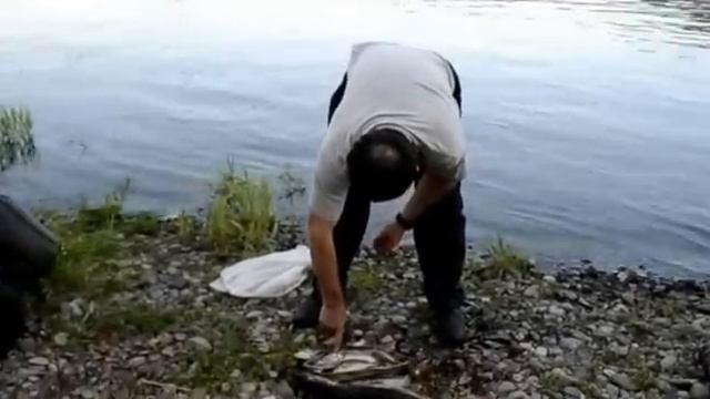 Зеленогорск рыбалка 2013г смотреть онлайн