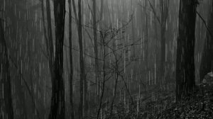 Футаж. Осенний пейзаж 14  Footage. Autumn landscape 14