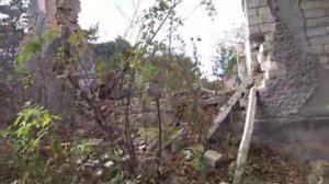 ЦАРСКИЕ ГРИБЫ РЫЖИКИ, маслята и рядовка сбор грибов, грибы 2021, грибные места, грибы Крыма 2021