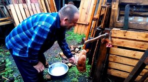 С чего начинается бульон? Как правильно резать курицу