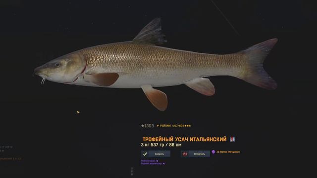 Fisher Online-Усач итальянский(Италия) смотреть онлайн