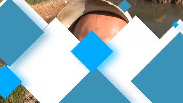 ЧЕМ КОРМЛЮ КАРАСЯ? ПРУД НА УЧАСТКЕ ИЖС!!! смотреть онлайн