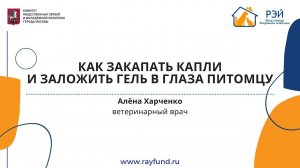 Как закапать капли и заложить гель в глаза питомцу