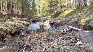 Проверили приваду на медведя. Развезли овёс кабанам. Что лучше,Квадроцикл или каракат?