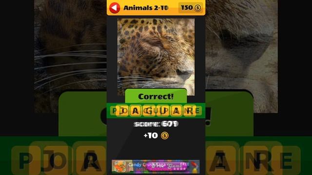 What's the Picture, Animals, Level 2, 1-20 -Itch Mania