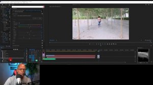 "New" DEHANCER 1.0  - Professional Film Look For Adobe Premiere