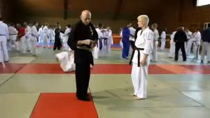 ДЖИУ-ДЖИТСУ - ЛИНДЕР AUSTRIA -1