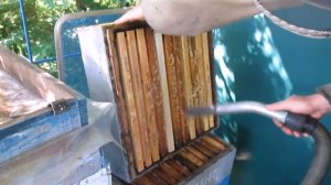 Откачка меда Отбор меда на прицепах Отбор меда с воздуходувкой