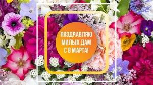 Поздравляю милых дам с 8 марта!