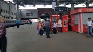 Казанский Вокзал Москва . Криминал, цыгане, что еще можно увидеть?