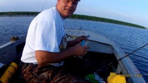 Страхолесье