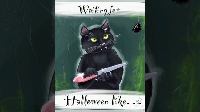 HALLOWEEN WITCH AIRLINES