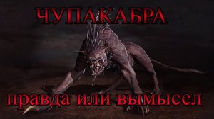 ЧУПАКАБРА - ПРАВДА ИЛИ ВЫМЫСЕЛ?