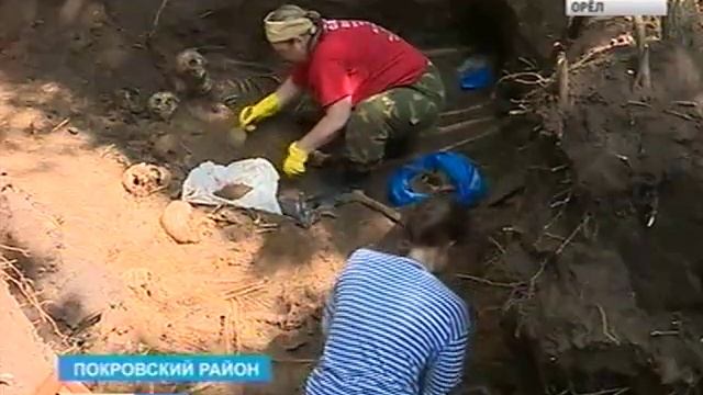Поисковики обнаружили в Покровском районе останки воинов, погибших 73 года назад