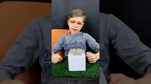 Литопс Халла | КАК Я САЖАЮ ЛИТОПСЫ