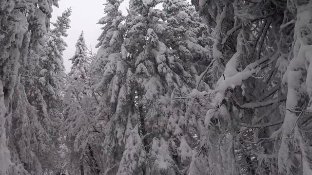 Буковель 2019 смотреть онлайн