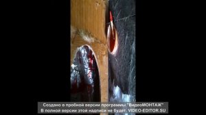саб стелс форд куга 2