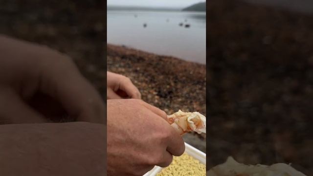 теперь вы хотите  дошик ? Признайтесь ) лучший  рецепт доширака