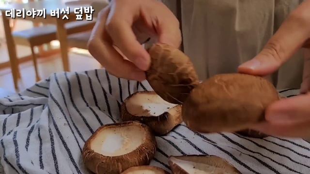 SUB) 한그릇 덮밥 요리 5가지🍛 / 따뜻한 집밥 일상