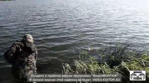 Ловля карпа на бойлы
