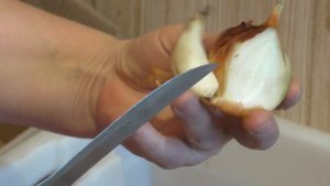 Перебираем лук Шалот "Тульский аристократ" / Sorting shallots "Tula aristocrat"