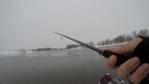 EverGreen PSI NIMS-86M VS Zetrix Ambition-Z 862M