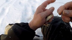 Рыбалка на Поставушки! Как Правильно Зацепить Живца на ТЕЧЕНИИ! Проверка Поставушек на Налима!