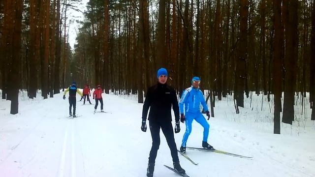 Легкая лыжня в Мещерском парке смотреть онлайн