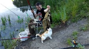 Новый друг съел весь наш улов. Рыбалка в д. Орловка.
