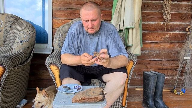 На что способен гриб трутовик. Полезные советы от Кухня Аборигена
