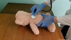 Аускультация легких у детей по условиям задачи