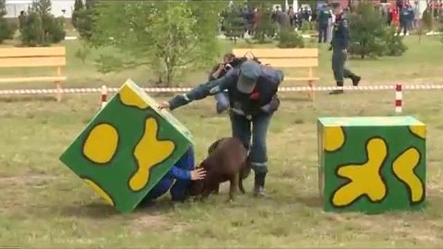 Комплексная безопаснось, Москва 2016 год