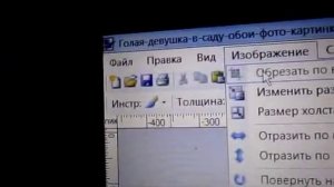 видео урок как сделать любую картину на весь экран.wmv