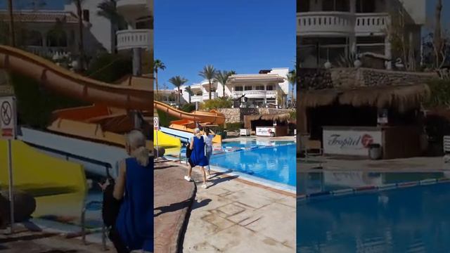Tropitel Naama Bay 5* Шарм эль Шейх. Краткий обзор.