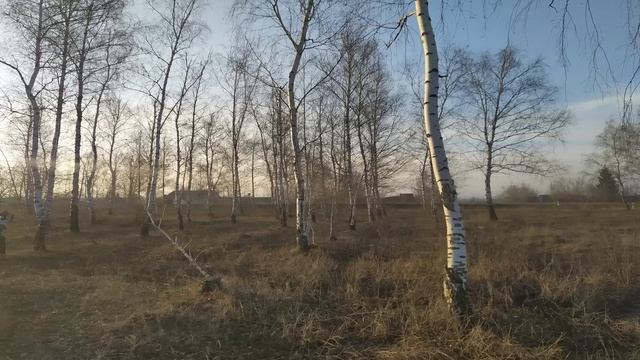 3 апреля. ДЕНЬ ФОМЫ.Народные приметы.Запреты дня. Поверья старины