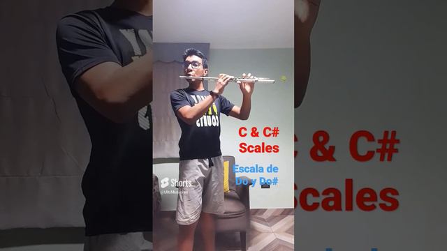 C & C# Scales #flute