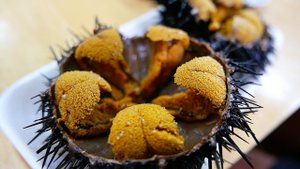 Японская уличная еда - МОРСКОЙ ЕЖ Юни Сашими Japan Seafood