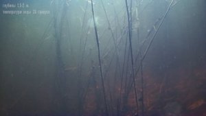 Где крупная рыба?!!! Острова опустели. Река Волга. Подводный мир.