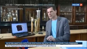 К берегам Сахалина повадились акулы людоеды