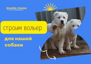 Строим вольер для нашей собаки.