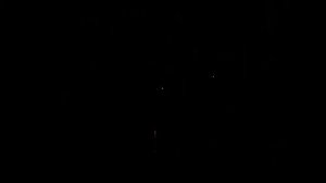 Салют CL012 Московский фейерверк 0.8" 16 залпов