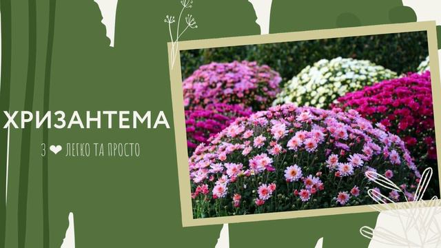 Які РОСЛИНИ можна вирощувати на БАЛКОНІ взимку ❄️🌿🪴🌲 смотреть онлайн