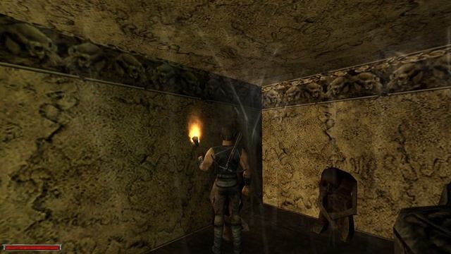 Готика 1 | Все перманентные зелья в игре