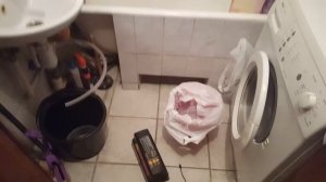 Электрическая мышеловка в действии.