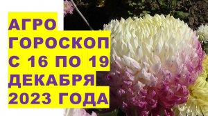 Агрогороскоп с 16 по 19 декабря 2023 года Agrohoroscope from December 16 to 19, 2023