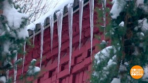 Здравствуй, дача, Новый год! Доброе утро. Фрагмент выпуска от 22.12.2023