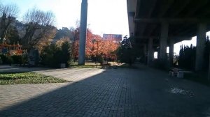 Сочи Хоста Декабрьская прогулка от отеля Хоста, Хостинского виадука , до пляжа Бриз Хоста, Сочи,