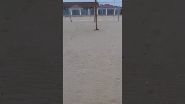 Затока база отдыха Приморье баскетбол смотреть онлайн